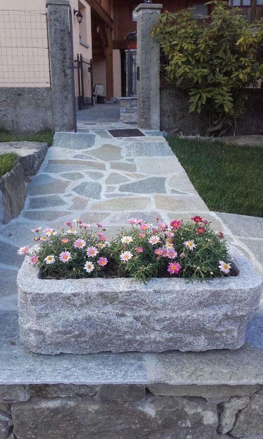 Le Mie Radici Scopello (Piedmont)